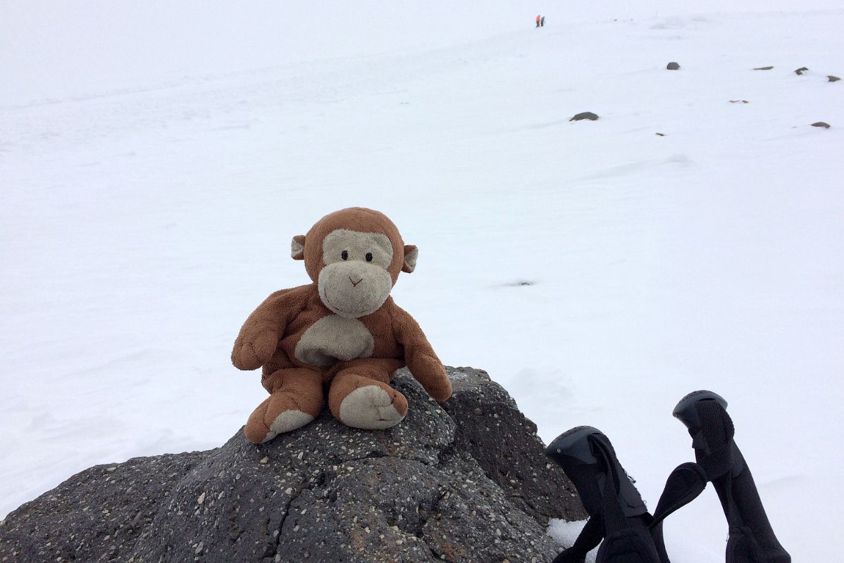 09C Dangles On Pastukhov Rocks 4700m On Mount Elbrus Climb